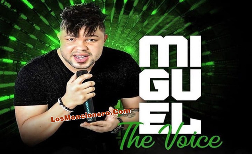 Miguel The Voice – Un Año